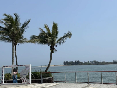 海南省政府通告：12月18日起全岛封关！