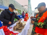 湖北绿色食品宣传月活动在荆州启幕
