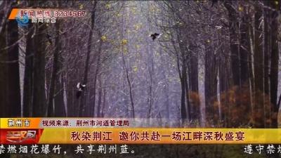 秋染荆江 邀你共赴一场江畔深秋盛宴