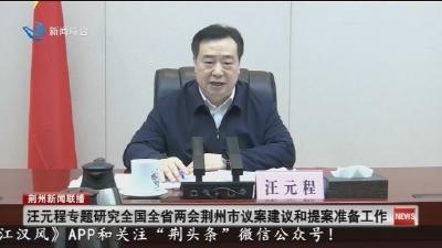 汪元程专题研究全国全省两会荆州市议案建议和提案准备工作