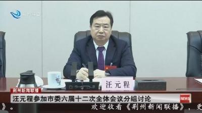 汪元程参加市委六届十二次全体会议分组讨论
