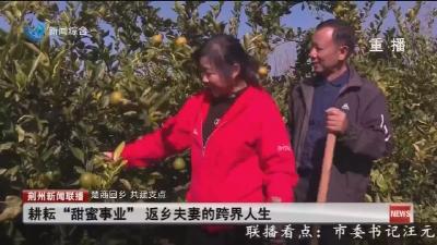 耕耘 “甜蜜事业” 返乡夫妻的跨界人生