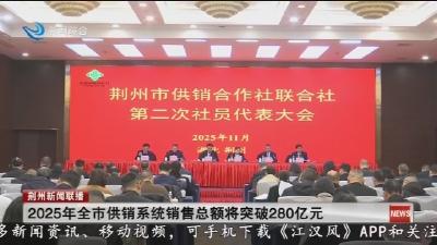2025年全市供销系统销售总额将突破280亿元