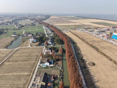 千亩林场蕴生机 一江碧水润新海