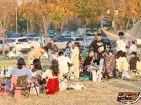 【图集】周末游玩好去处 柳林洲公园露营欢乐多