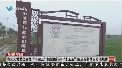 市人大常委会开展“十四五”规划执行和“十五五”规划编制情况专项视察