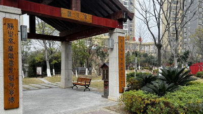 荆州区郢城镇郢南村：环境整治焕新颜，清洁家园绘幸福