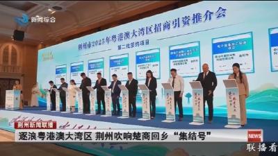 逐浪粤港澳大湾区  荆州吹响楚商回乡 “集结号”