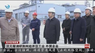 汪元程调研荆州经开区工业 外贸企业