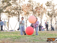 【图集】周末游玩好去处 柳林洲公园露营欢乐多