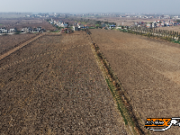 江陵县郝穴镇：高标准农田建设“加速跑” 激活农业发展新动能