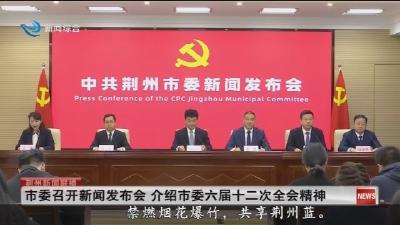 市委召开新闻发布会  介绍市委六届十二次全会精神