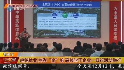 楚楚就业 荆彩“企”航高校学子企业一日行活动举行