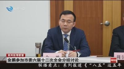 金鹏参加市委六届十二次全会分组讨论