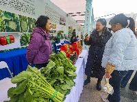 湖北绿色食品宣传月活动在荆州启幕