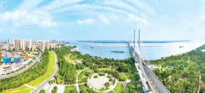 这抹绿，成为荆州上扬的底色！