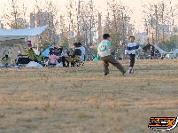 【图集】周末游玩好去处 柳林洲公园露营欢乐多