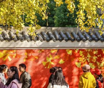 低至0℃！荆州将迎大幅降温