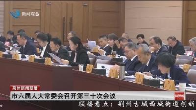 市六届人大常委会召开第三十次会议