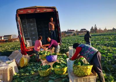 一桥跨江 万安焕颜