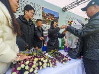 湖北绿色食品宣传月活动在荆州启幕