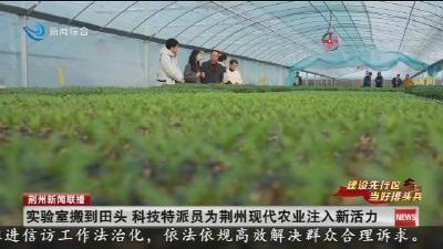 实验室搬到田头 科技特派员为荆州现代农业注入新活力