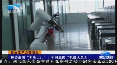 探访荆州 “未来工厂” ：车间里的 “机器人员工“