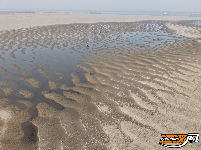 江陵冬日：沙韵水景 美不胜收