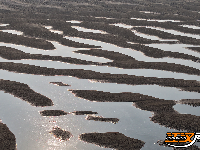 江陵冬日：沙韵水景 美不胜收