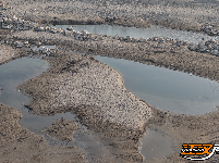 江陵冬日：沙韵水景 美不胜收