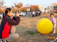 【图集】周末游玩好去处 柳林洲公园露营欢乐多