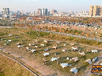 【图集】周末游玩好去处 柳林洲公园露营欢乐多