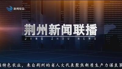 荆州新闻联播     2026-01-29