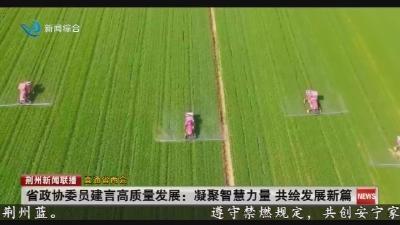 省政协委员建言高质量发展 : 凝聚智慧力量  共绘发展新篇