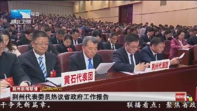荆州代表委员热议省政府工作报告