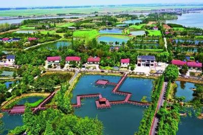 荆州：在丰收的田野上，绘就“和美共富”的新画卷