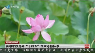 洪湖水质达到 “十四五” 国家考核标准