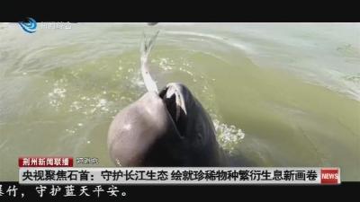短消息： 央视聚焦石首 :  守护长江生态  绘就珍稀物种繁衍生息新画卷