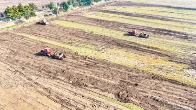 江陵熊河镇幸福村：小田并大田 高标准农田建设正酣