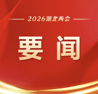 荆州代表团热议文旅消费赋能经济发展