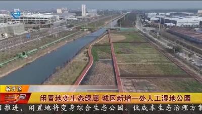 闲置地变生态绿廊    城区新增一处人工湿地公园