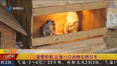 温暖护航 让每一只动物安然过冬