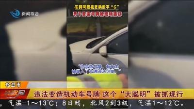 违法变造机动车号牌 这个