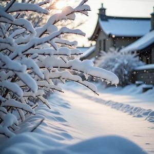 中雪、大雪、暴雪，即将上线！湖北发布风险提示