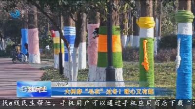 大树穿 “毛衣” 过冬 !   暖心又有趣