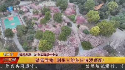 踏雪寻梅 荆州人的冬日浪漫顶配!