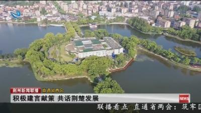 积极建言献策   共话荆楚发展