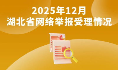 2025年12月湖北省网络举报受理情况