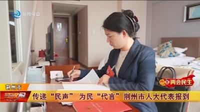 “两会” 特别报道 ：传递 