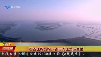 石首江豚亮相八省市长江禁渔直播